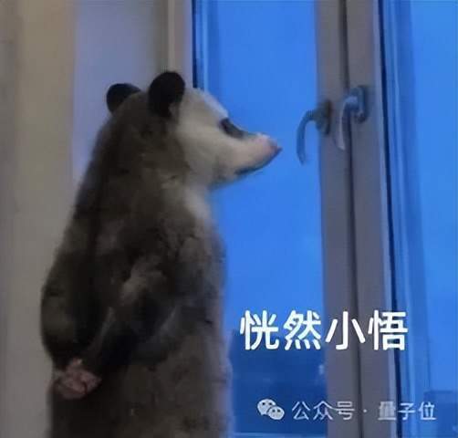 HYROX嘲笑张继科，戳破了中产付费军训的另一面
