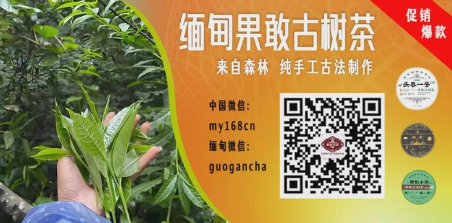 力挺马宁？亚足联官宣重磅罚单！亚冠冲撞他的沙特国脚遭禁赛10场