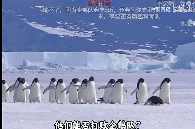 两年过去了，我依然很怀念那个夏天