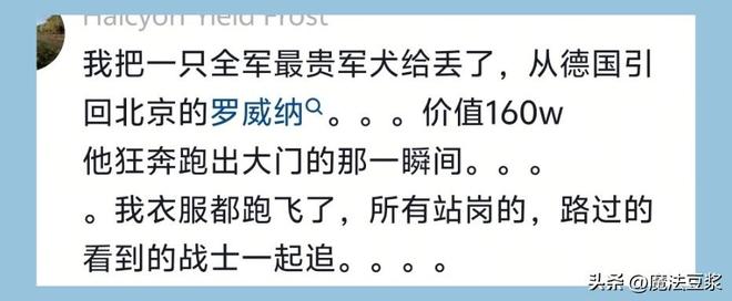 胡金秋：最爱玩金铲铲，第一份工资和队友吃了麦当劳