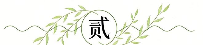 巴基斯坦陆军参谋长和内政部长启程前往伊朗
