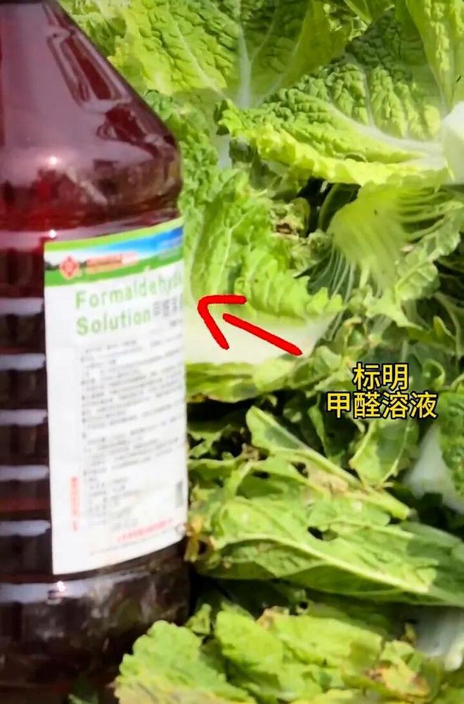 曼联巴黎哭晕！1.3 亿世界杯天才只想去利物浦！拦都拦不住！