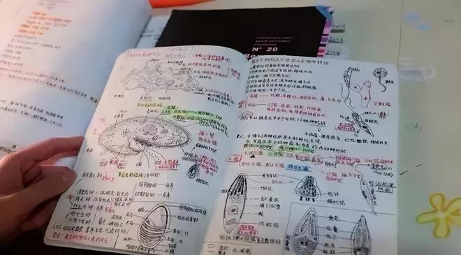 刘翔跑进了人生死胡同：虽有盖世武功，仍是精神巨婴