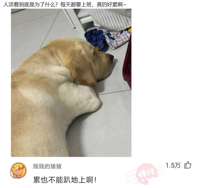 萨卡世界杯赛前和记者比飞镖