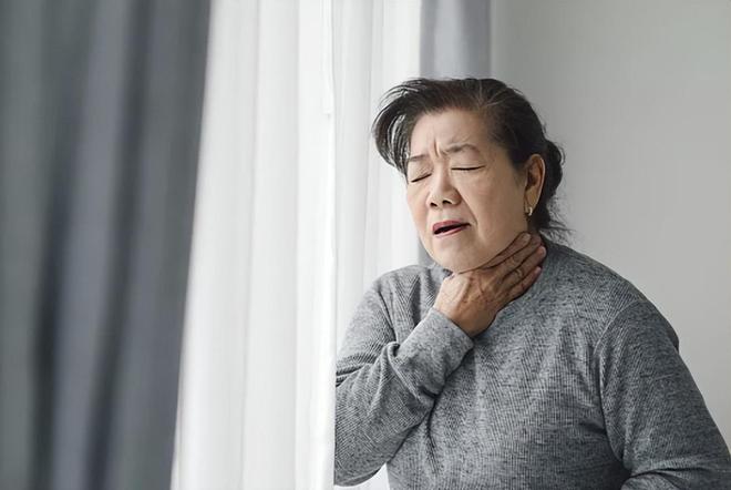 樊振东助萨尔布吕肯首夺乒乓球德甲三冠王